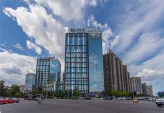 江北区一对一篮球培训价钱