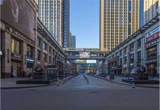 天津绿色环保狗粮零食营养品哪里好